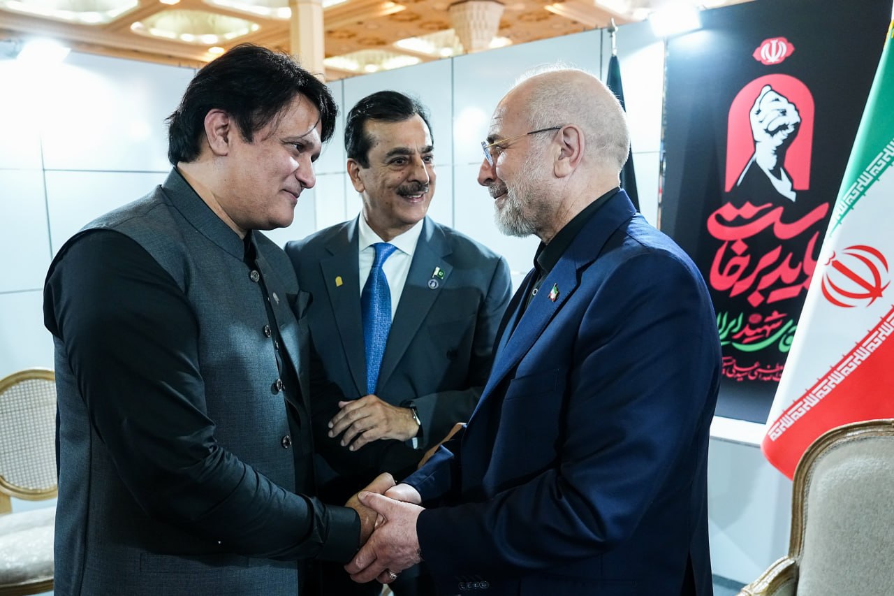 دیدار رئیس مجلس سنای پاکستان با قالیباف