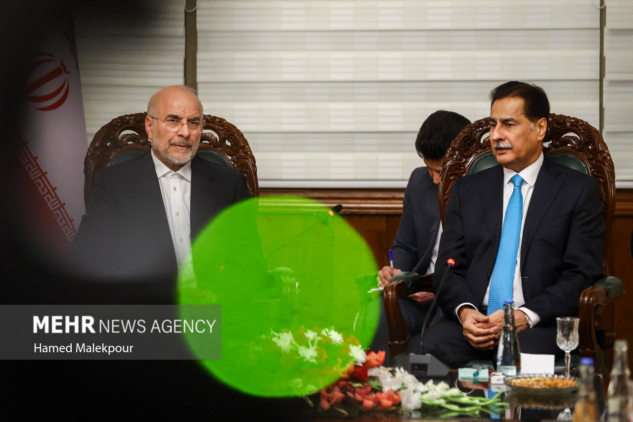 اولین روز سفر رئیس مجلس به پاکستان