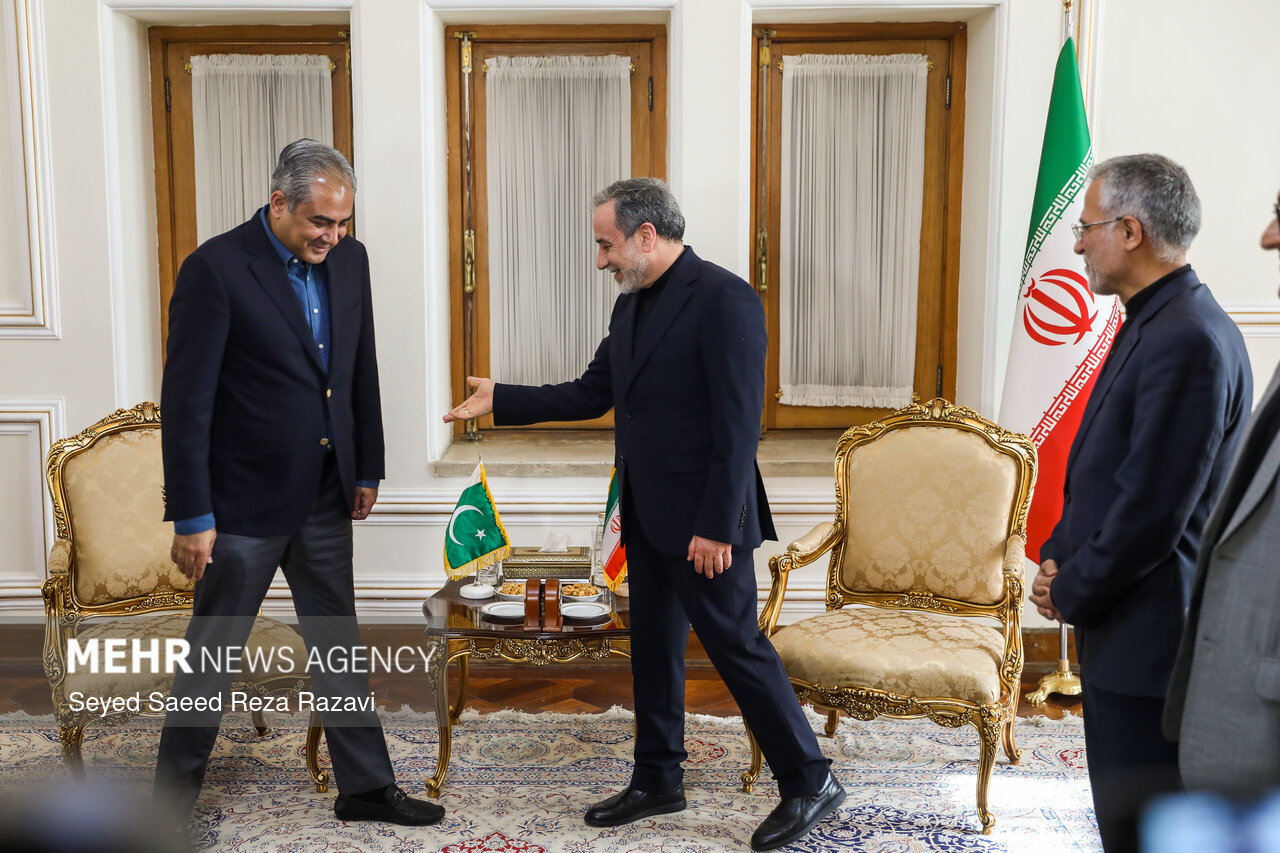 دیدار وزیر کشور پاکستان با وزیرامور خارجه
