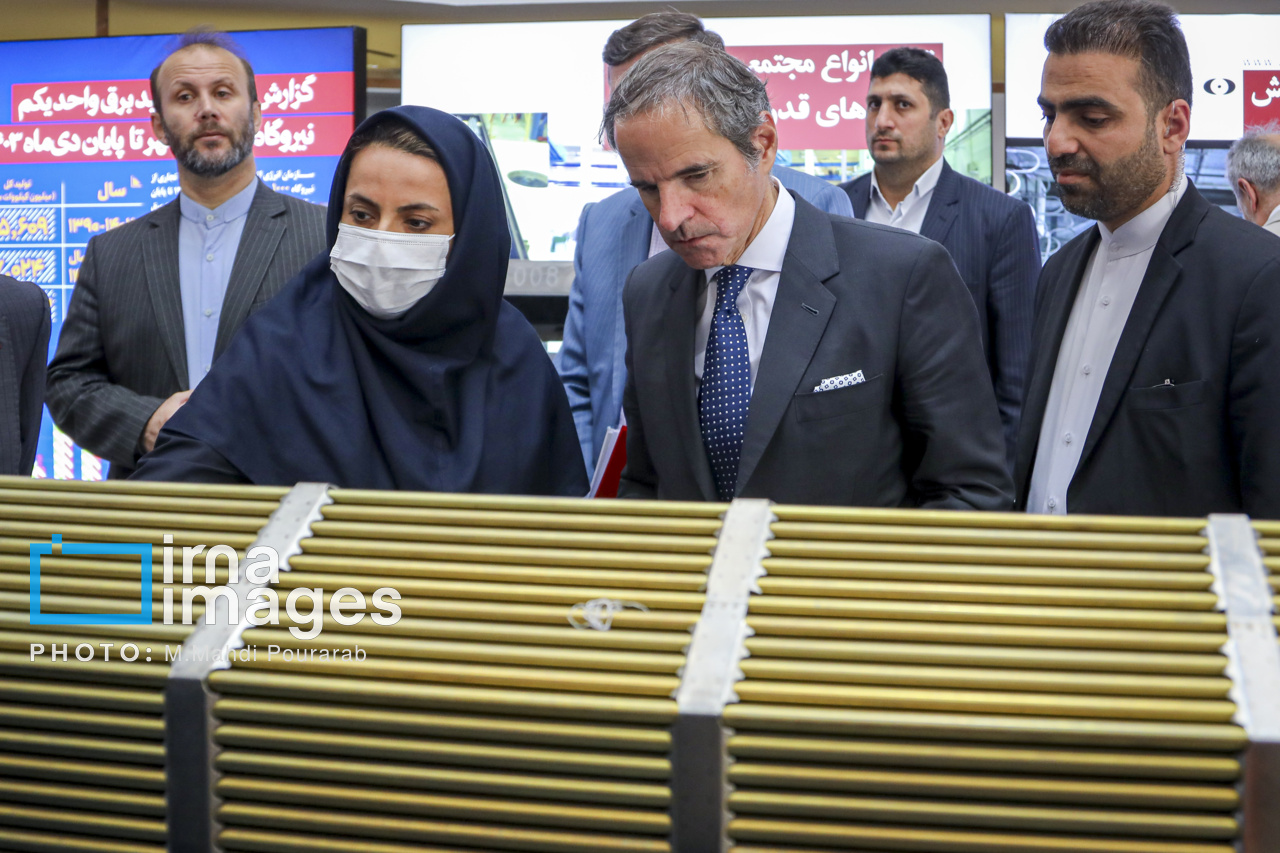 دیدار مدیر کل آژانس با رئیس سازمان انرژی اتمی