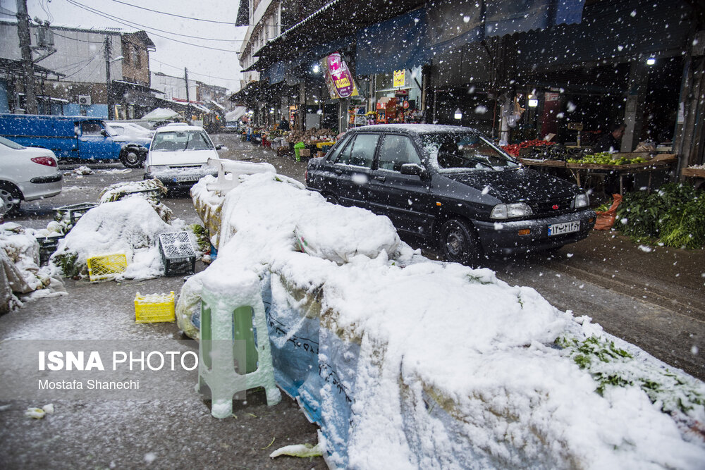 حال و هوای برفی ساری