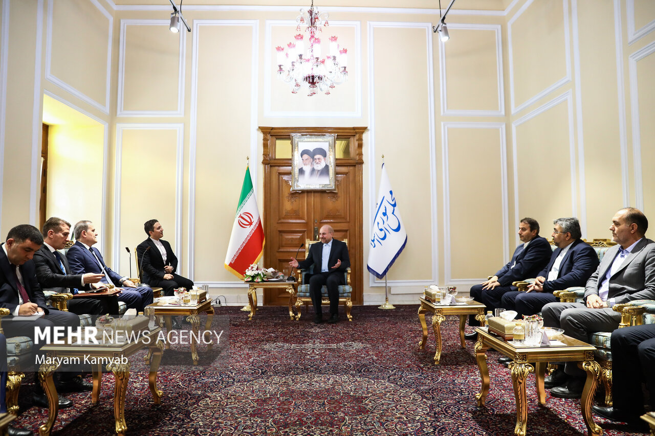 دیدار وزیر خارجه آذربایجان با رئیس مجلس