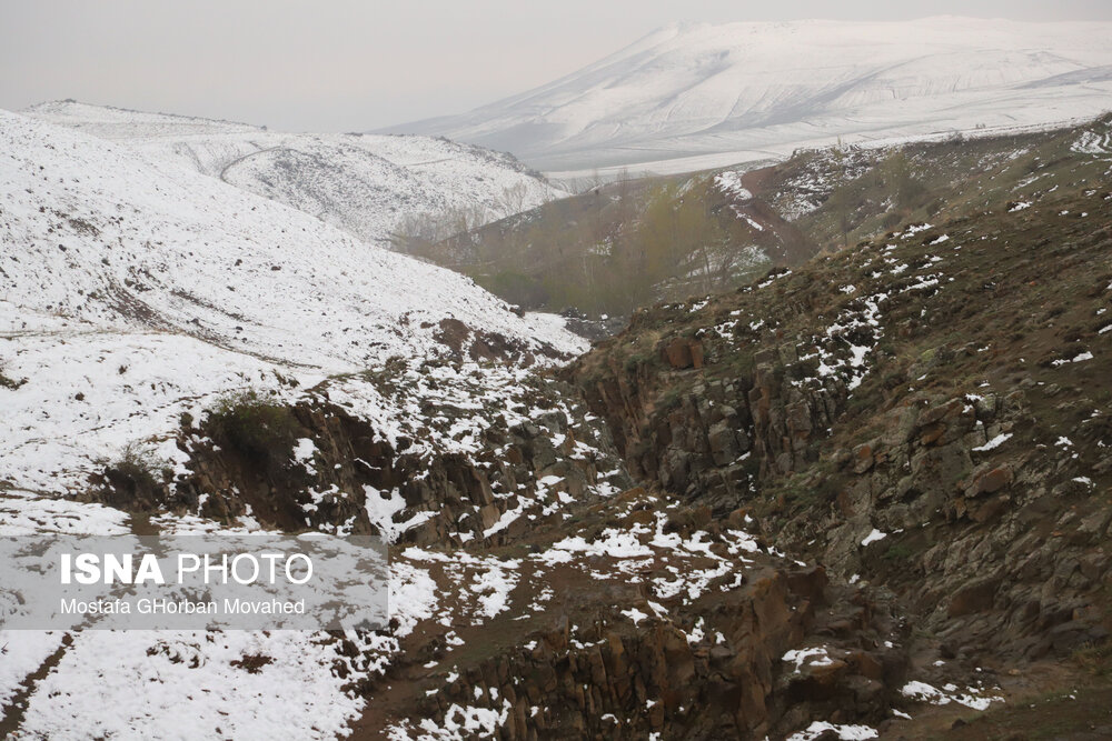 بارش برف بهاری - اهر