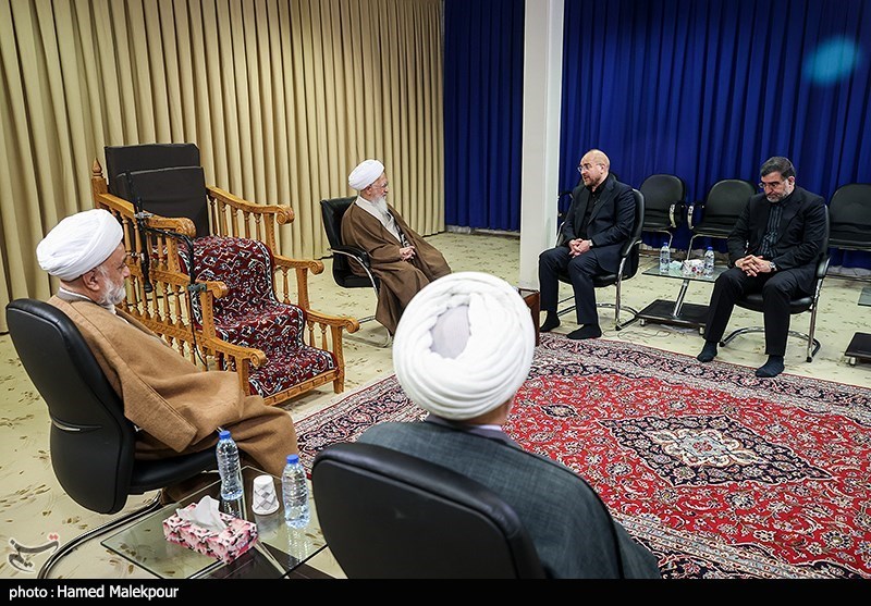 دیدار رئیس مجلس با مراجع عظام تقلید - قم
