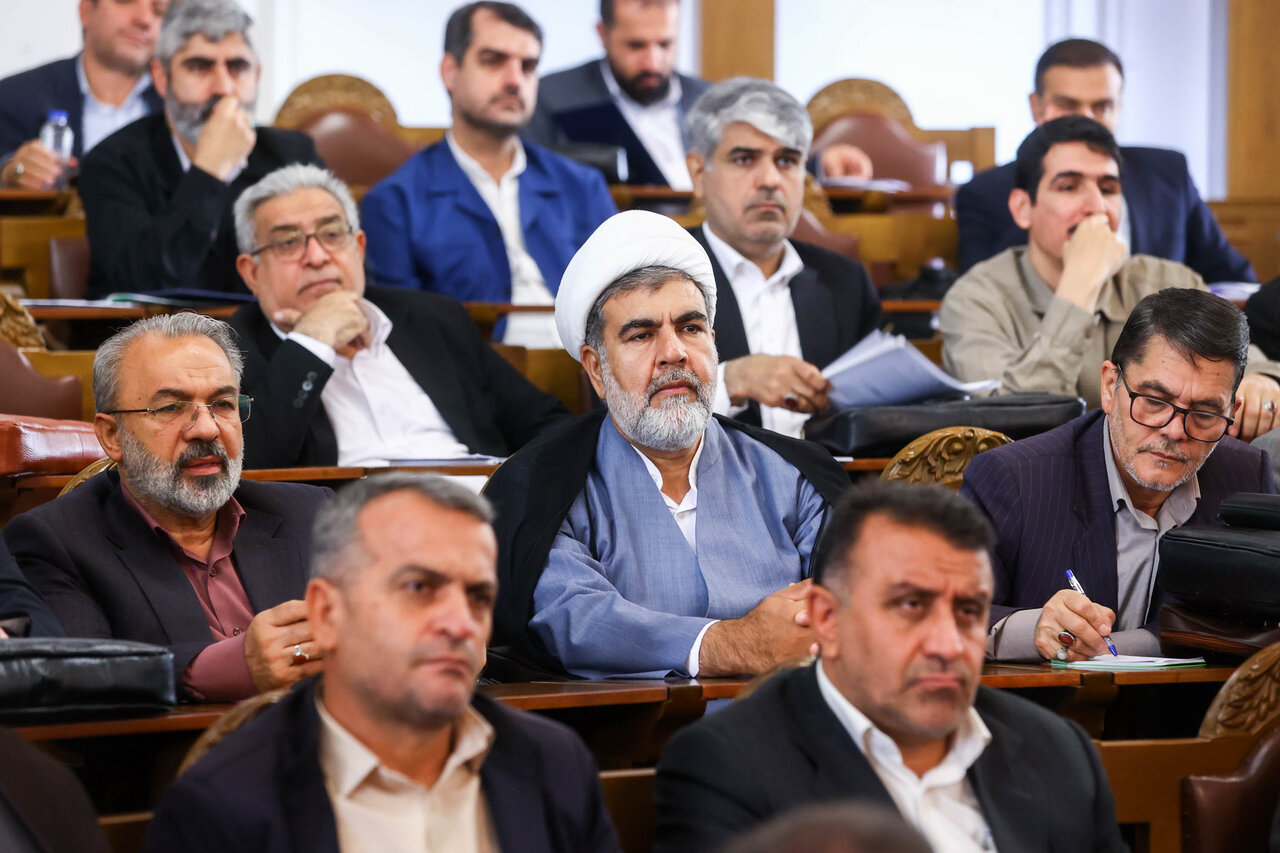 رئیس مجلس در همایش ناظران شورا‌ها