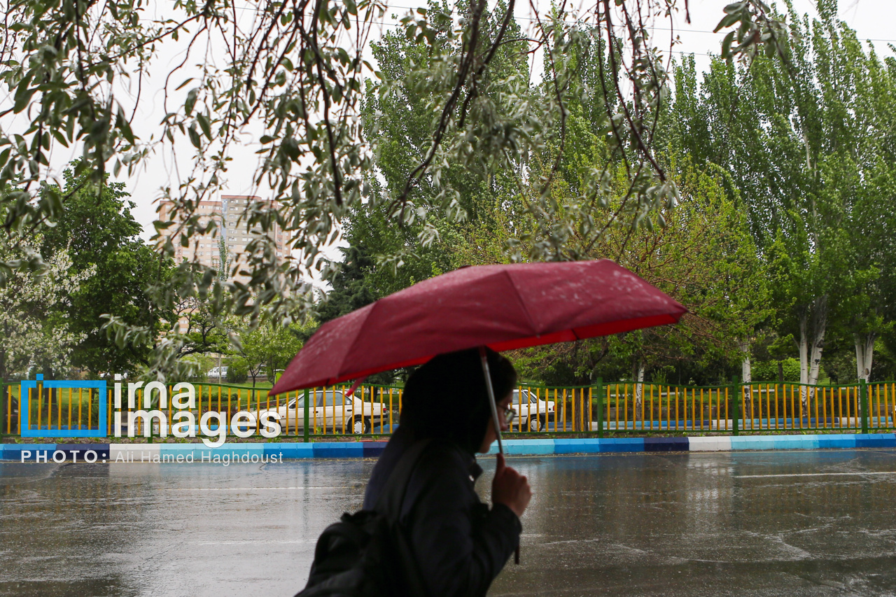 باران بهاری در تبریز