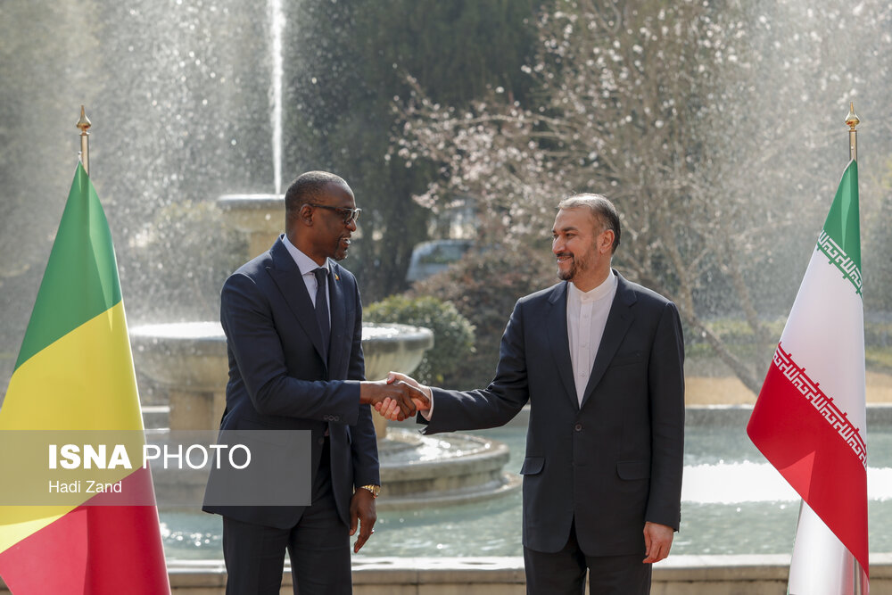 دیدار وزیران امور خارجه ایران و مالی