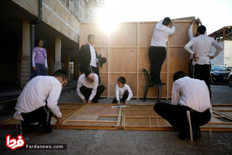 تصویری از مردان یهودی در حال برپایی غرفه های آیینی