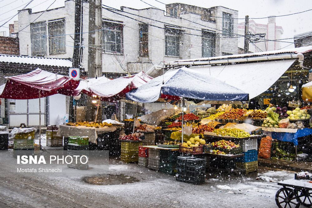 حال و هوای برفی ساری