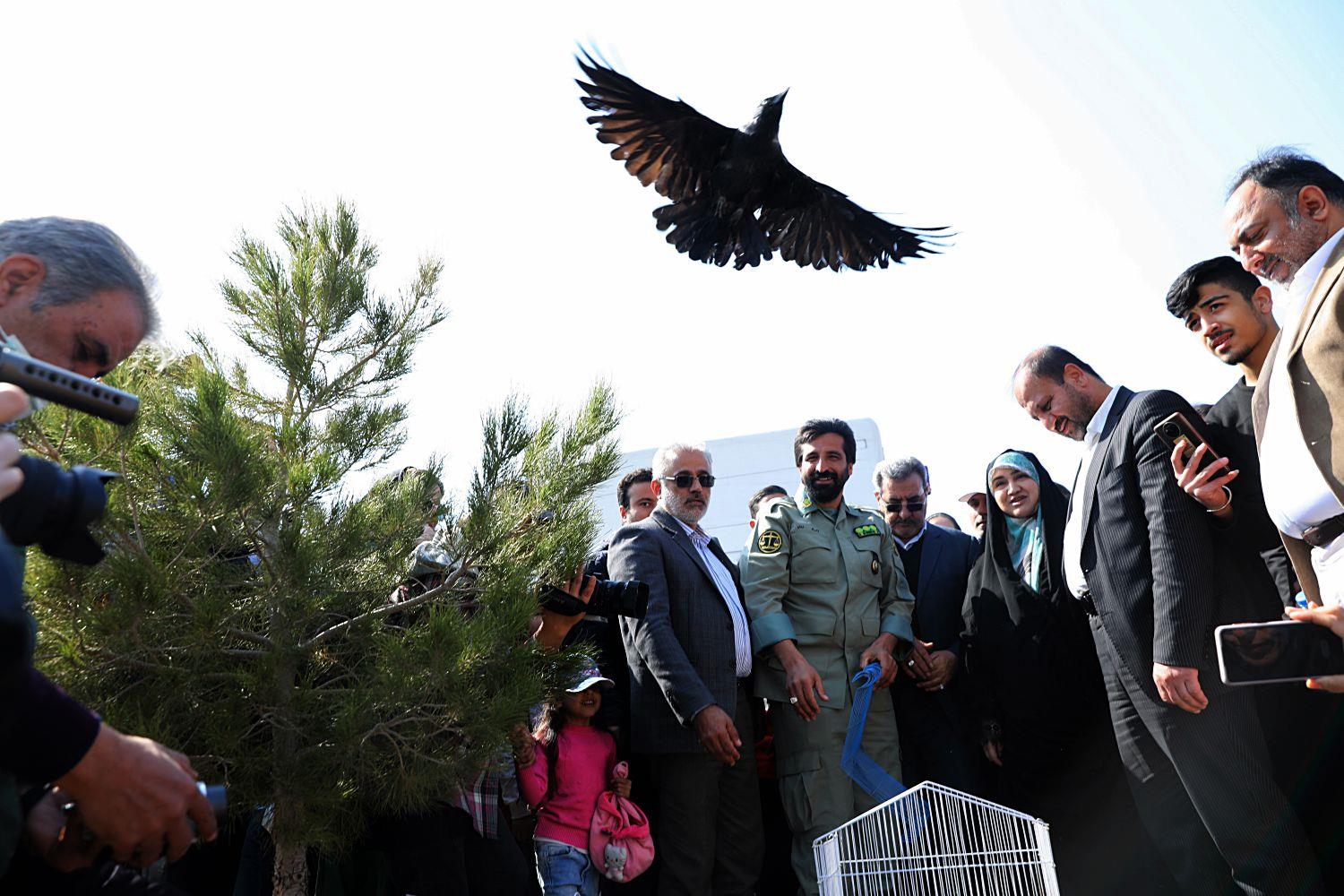 مراسم روز درختکاری