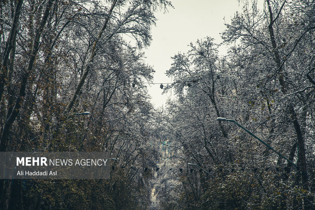 بارش اولین برف زمستانی