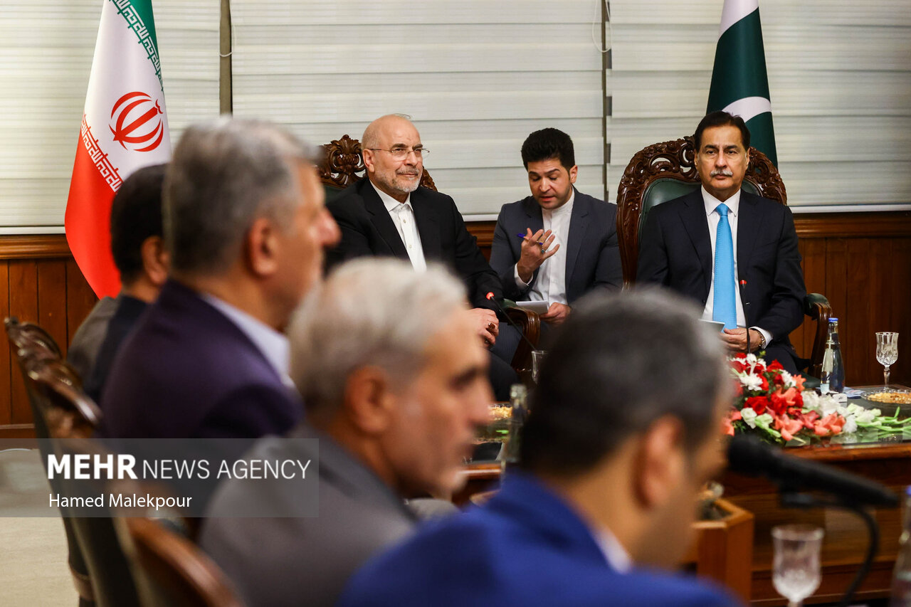 اولین روز سفر رئیس مجلس به پاکستان