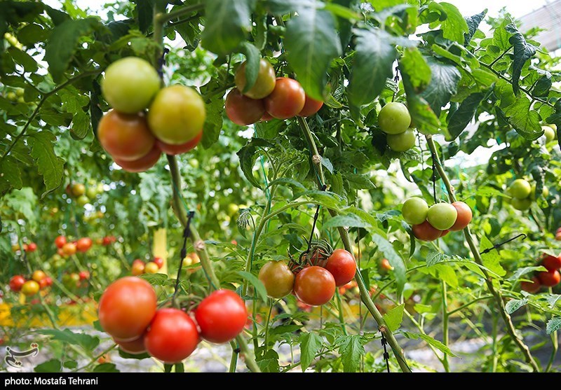 سفر رئیس جمهور به شهرهای استان تهران