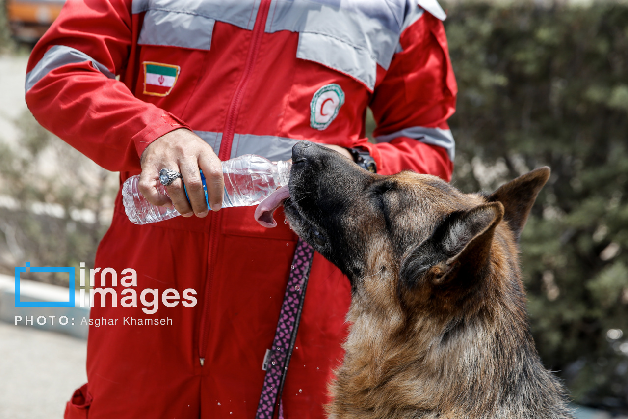 مانور سگ‌های نجات هلال احمر