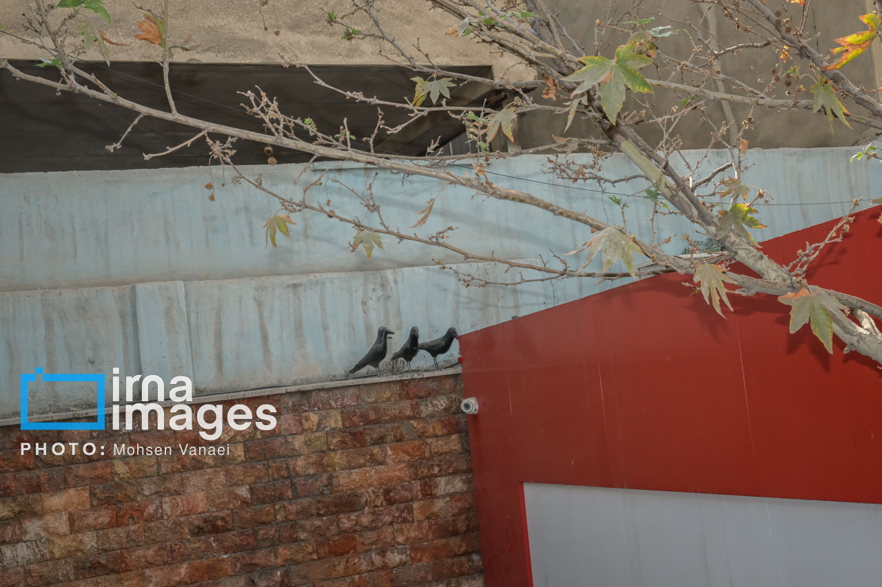 پاییز بی‌رنگ پایتخت