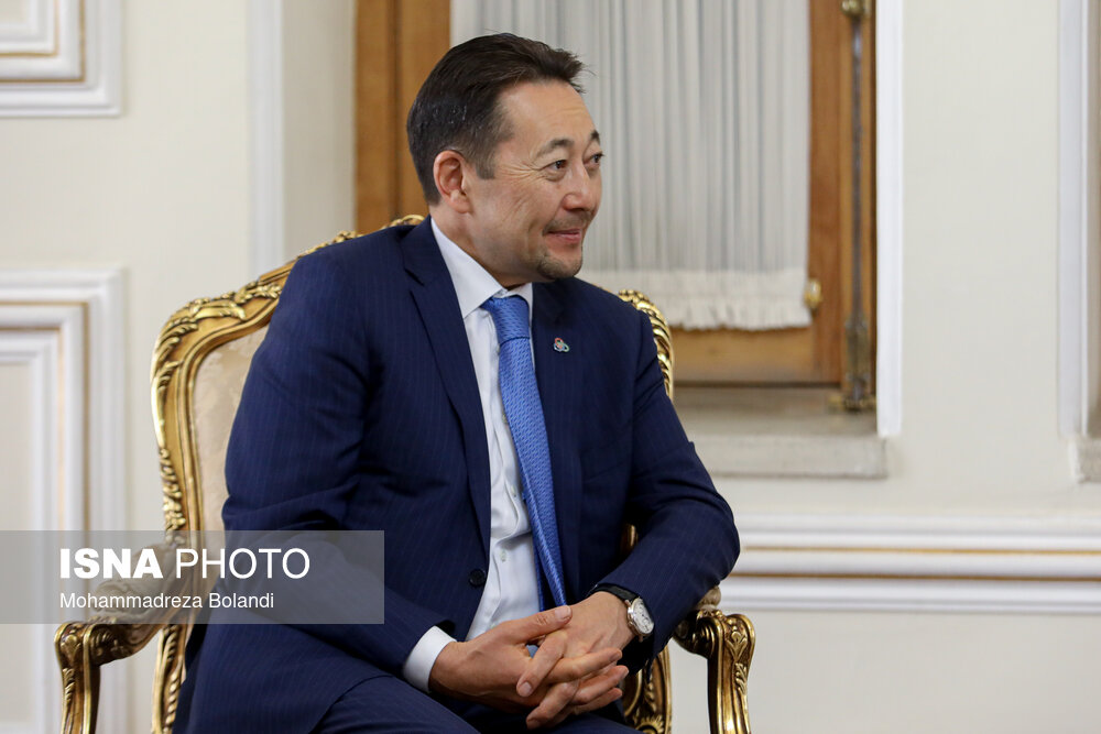 دیدار دبیر کل سیکا با حسین امیرعبداللهیان