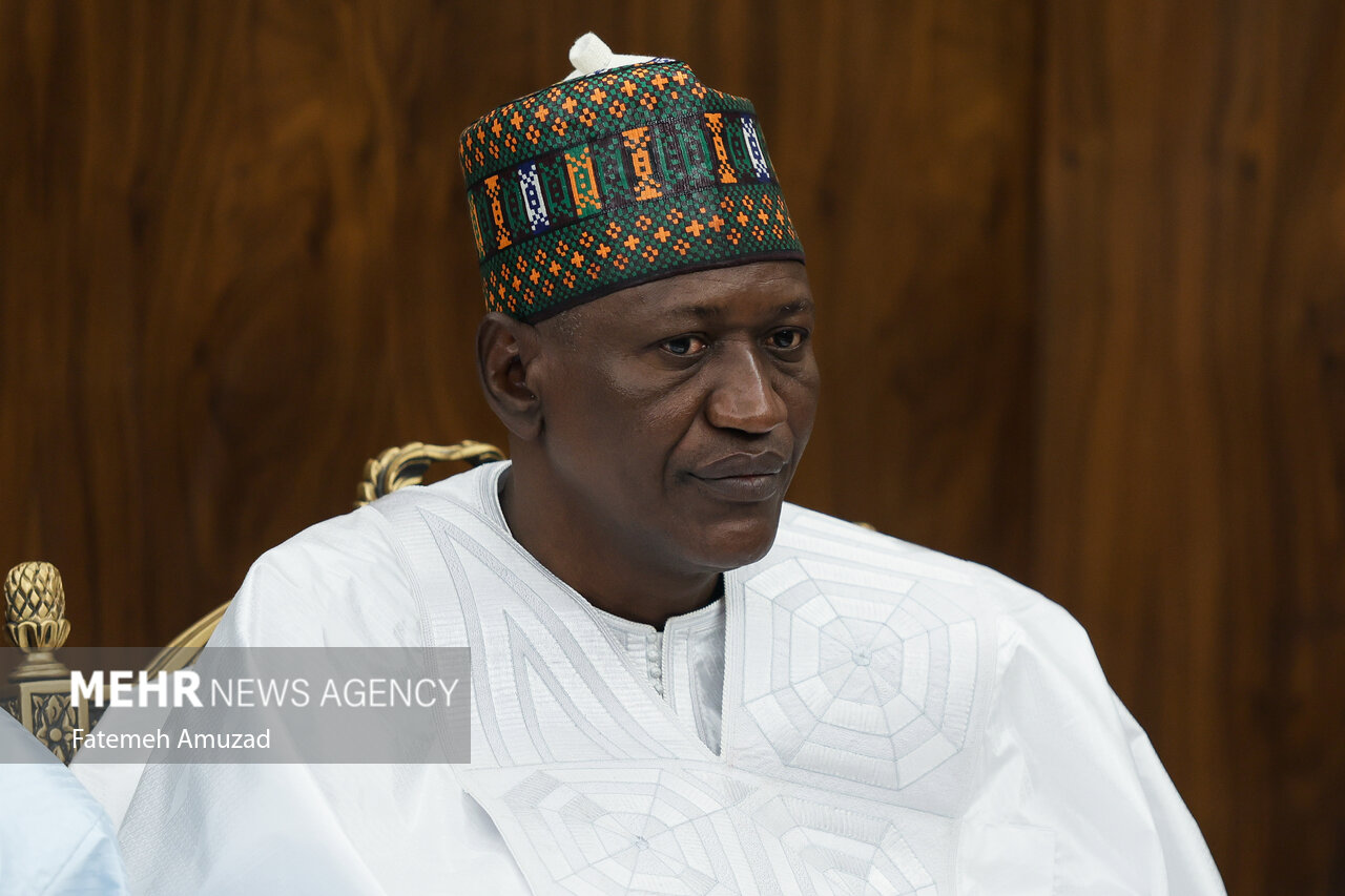 دیدار معاون اول رییس جمهور با وزیر نفت نیجر