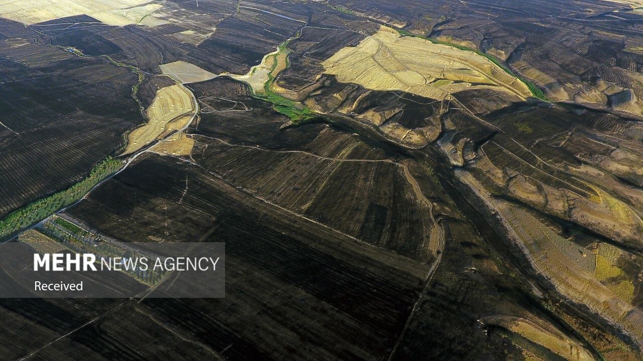 آتش سوزی در اراضی کشاورزی دره شهر