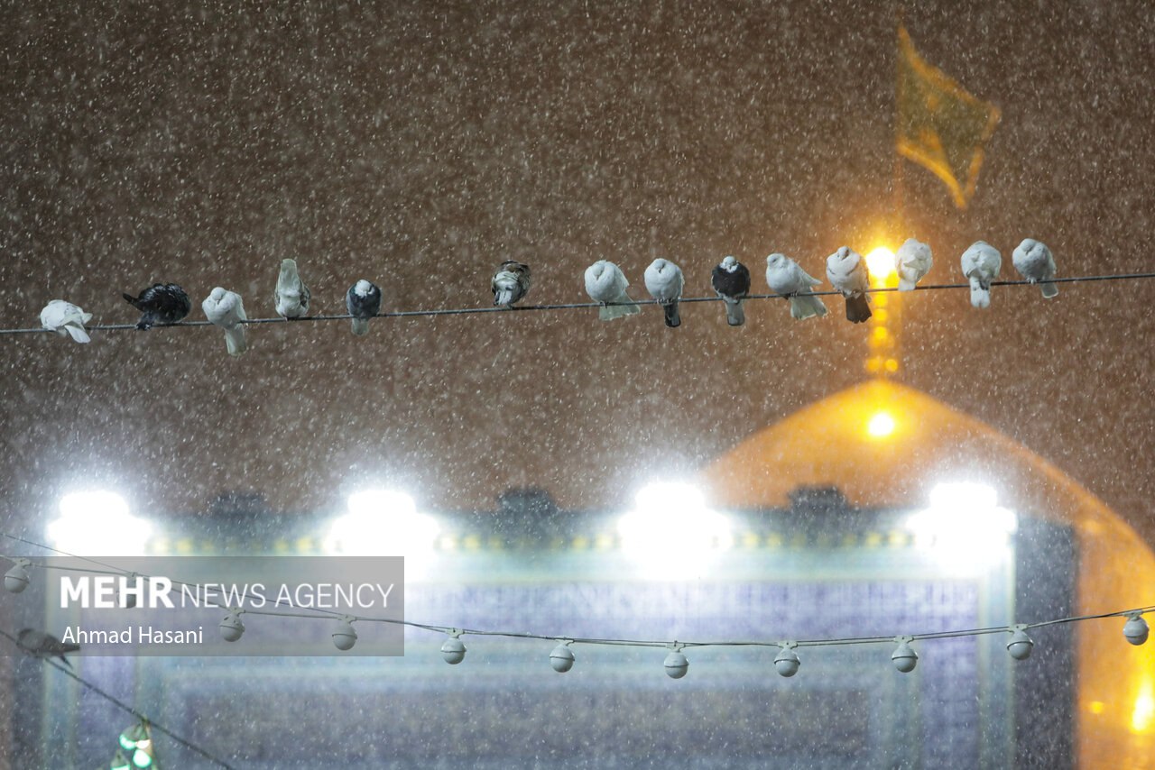 شب برفی حرم امام رضا (ع)