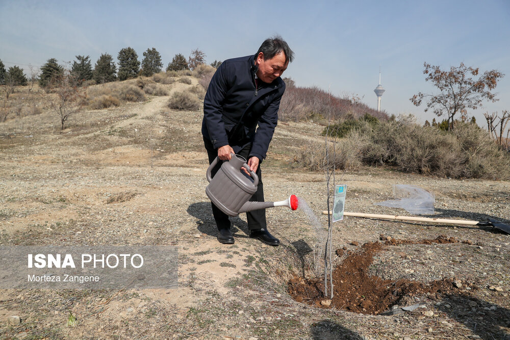 مراسم روز درختکاری با حضور رییس سازمان محیط زیست