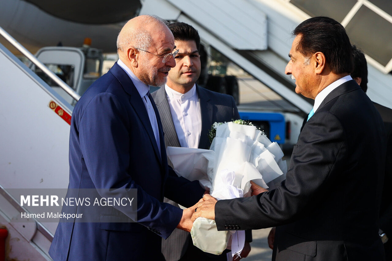 اولین روز سفر رئیس مجلس به پاکستان