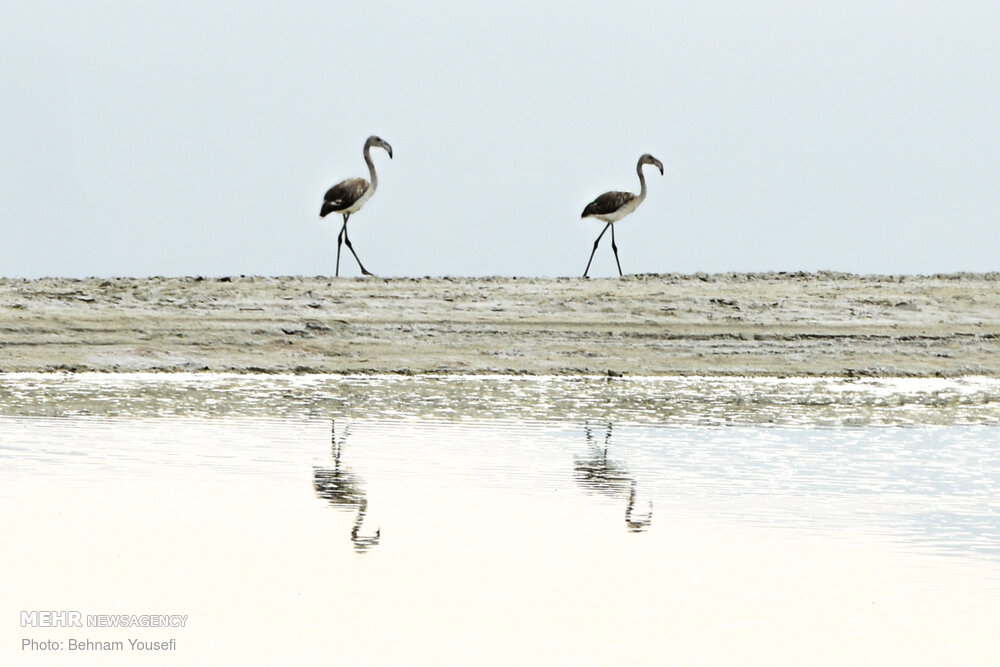تالاب «میقان»