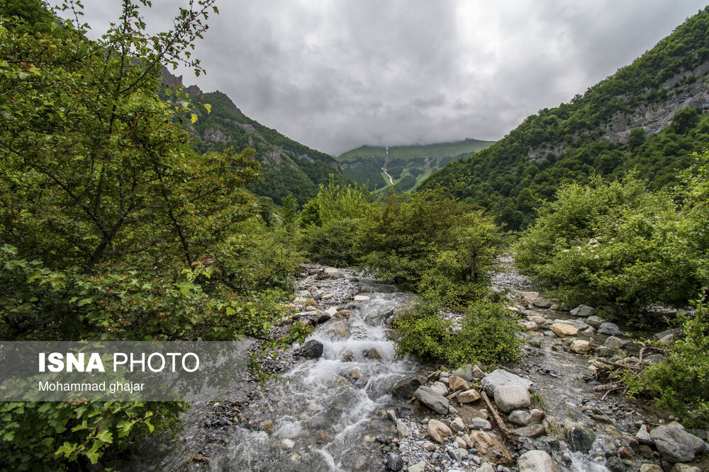 دشت دریاسر در تنکابن