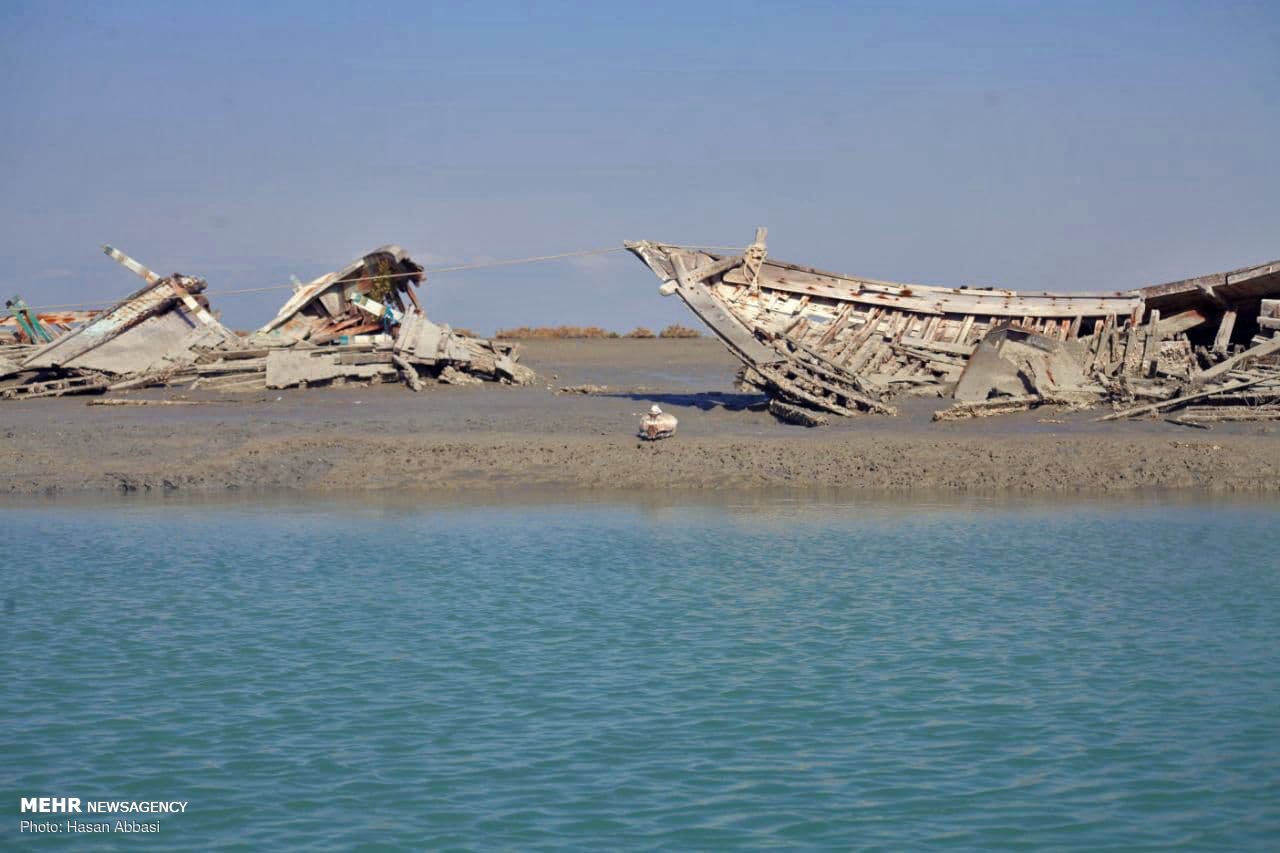 سواحل مکران