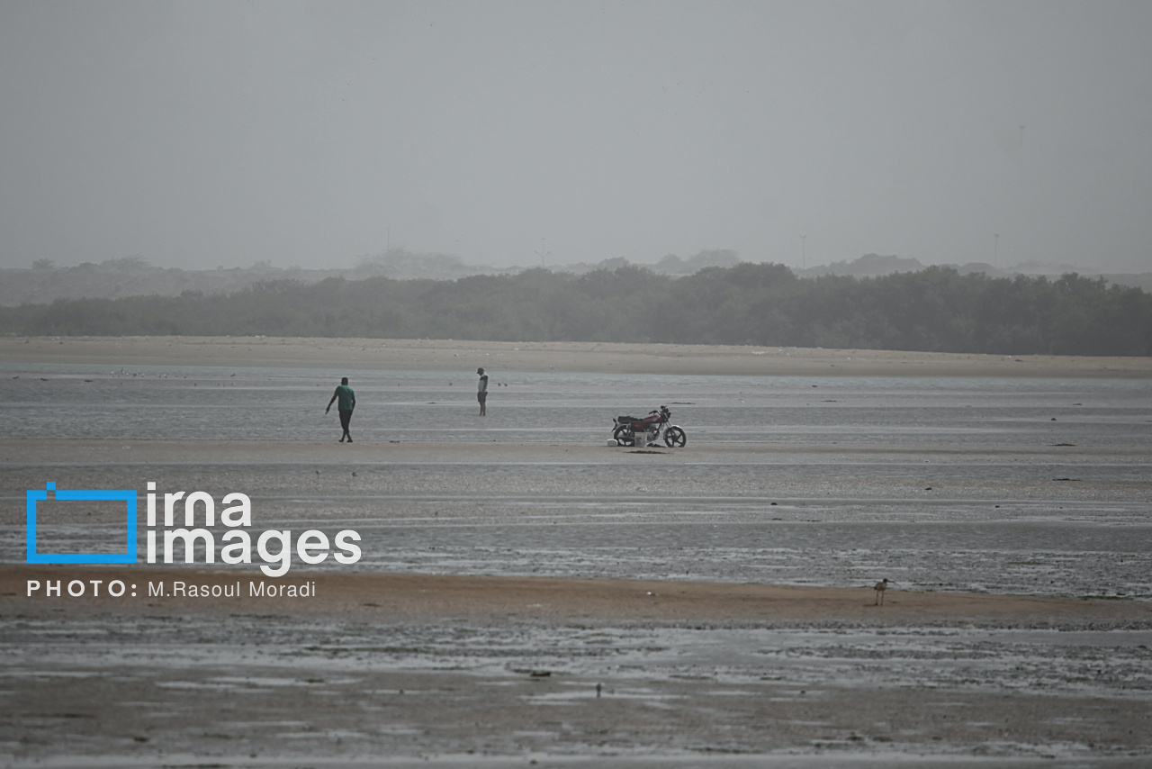 آلودگی هوا در بندرعباس