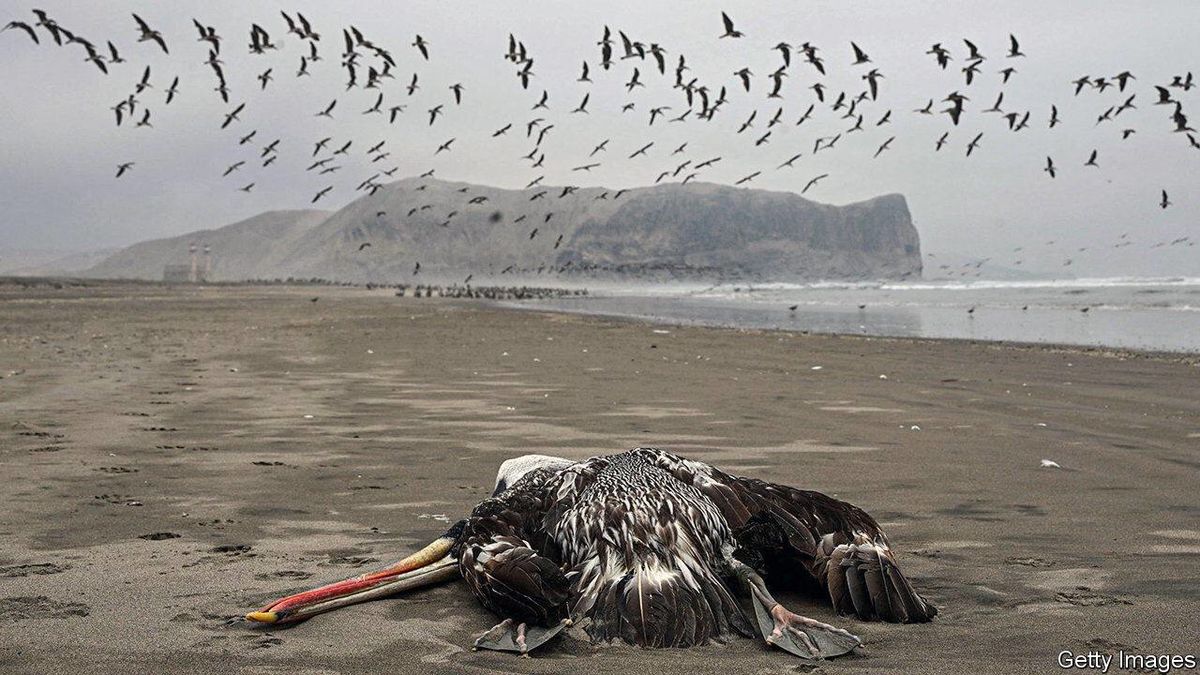 فوری/ یک همه‌گیری غیر از کرونا در راه است؟