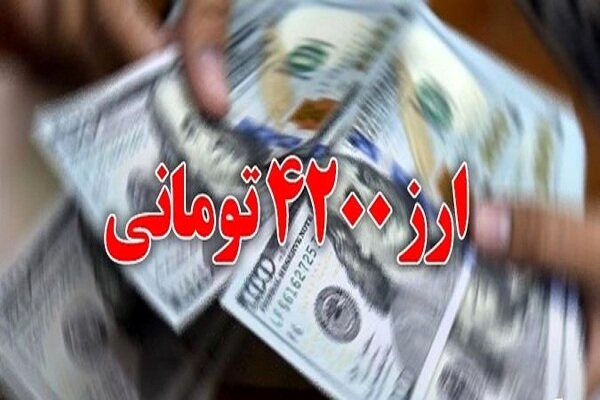 پورابراهیمی: دولت هنوز تصمیم جامعی درباره ارز ترجیحی نگرفته است