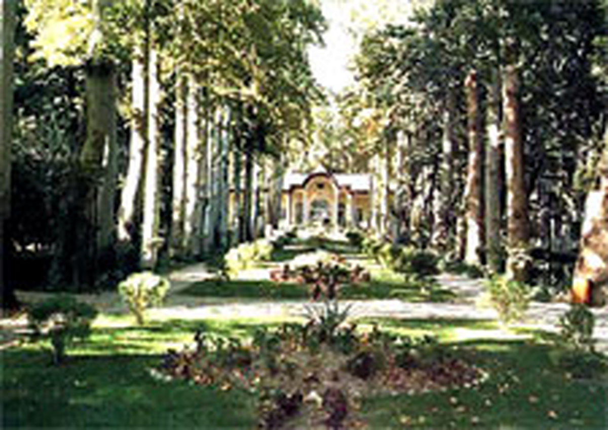 300 اصله درخت باغ قلهک قطع شد