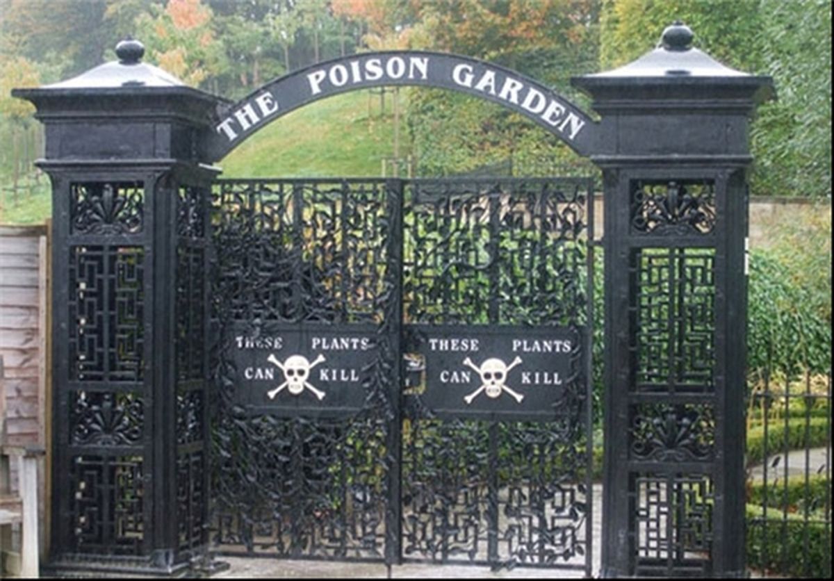 خطرناک‌ترین و‌سمی‌ترین‌بوستان‌جهان‌/‌تصاویر