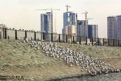آخرین وضعیت مسکن پایتخت از نمای نزدیک