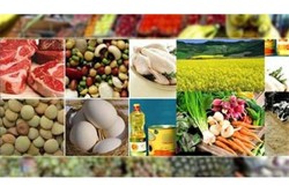 کاهش قیمت خرده فروشی ۶ گروه مواد خوراکی