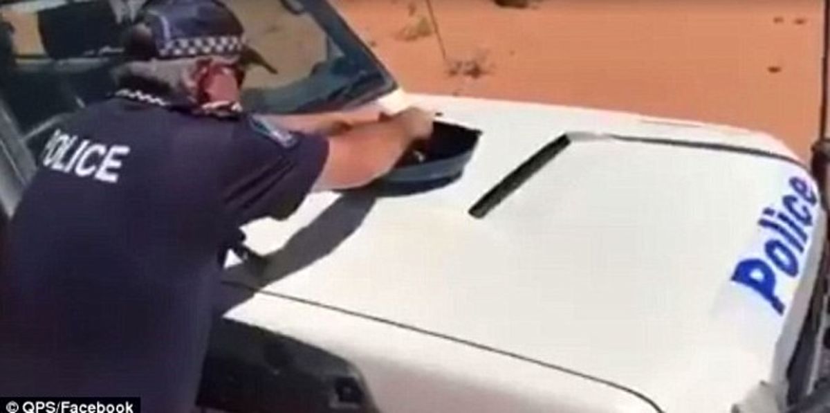 پلیسی که روی گرمای خودرویش نیمرو می‌پزد! +تصاویر