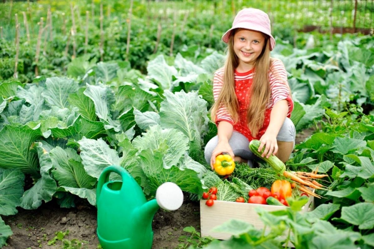 با غذای سالم، مهارت خواندن را در فرزندتان افزایش دهید