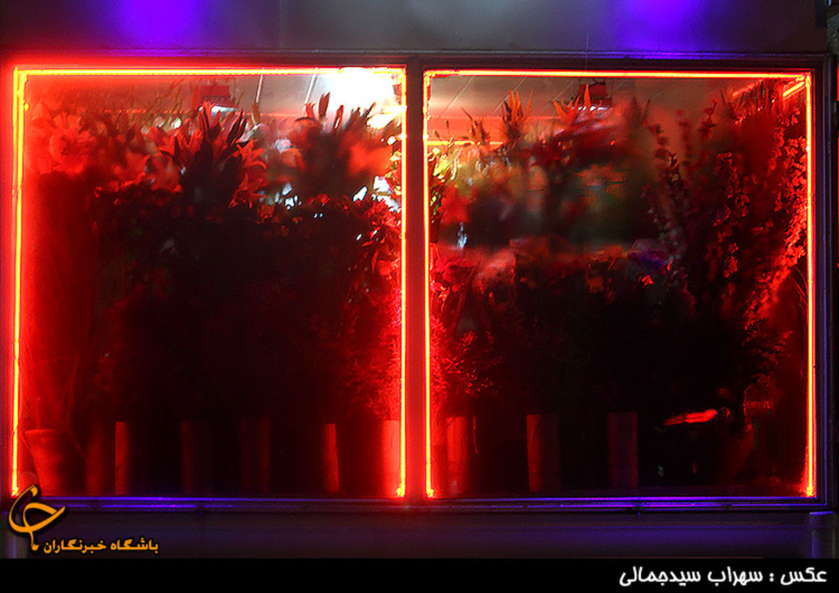 تصاویر/اولین برف زمستانی در تهران