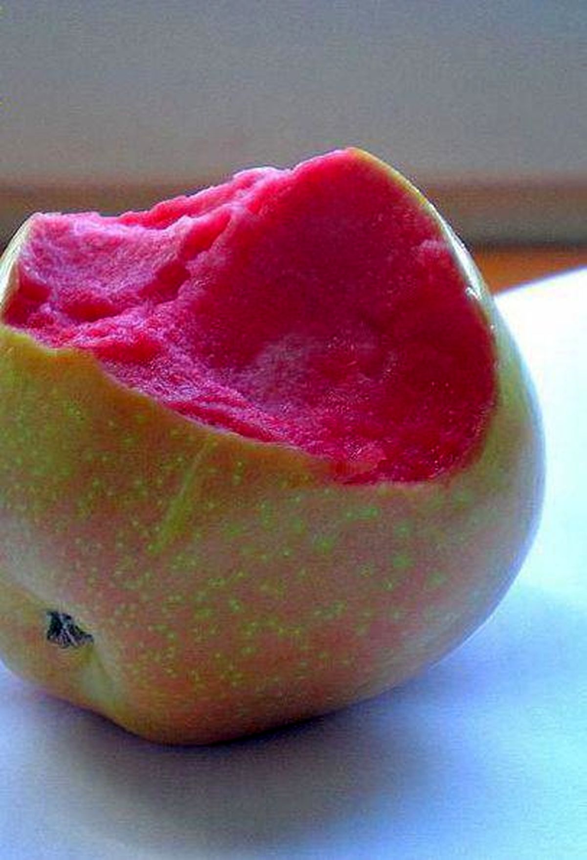 عکس: عجیب ترین سیب جهان