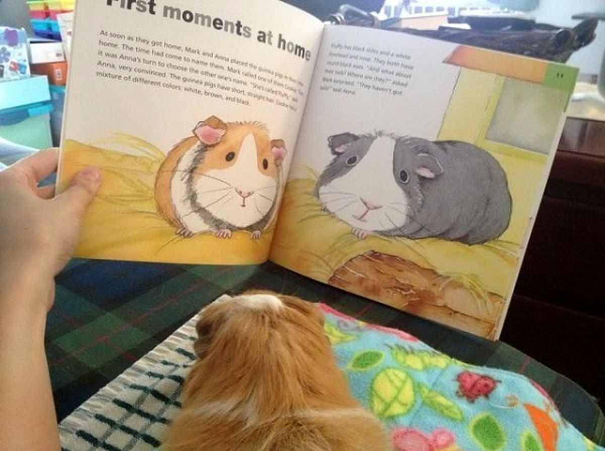 عکس/ کتاب داستان متفاوت!