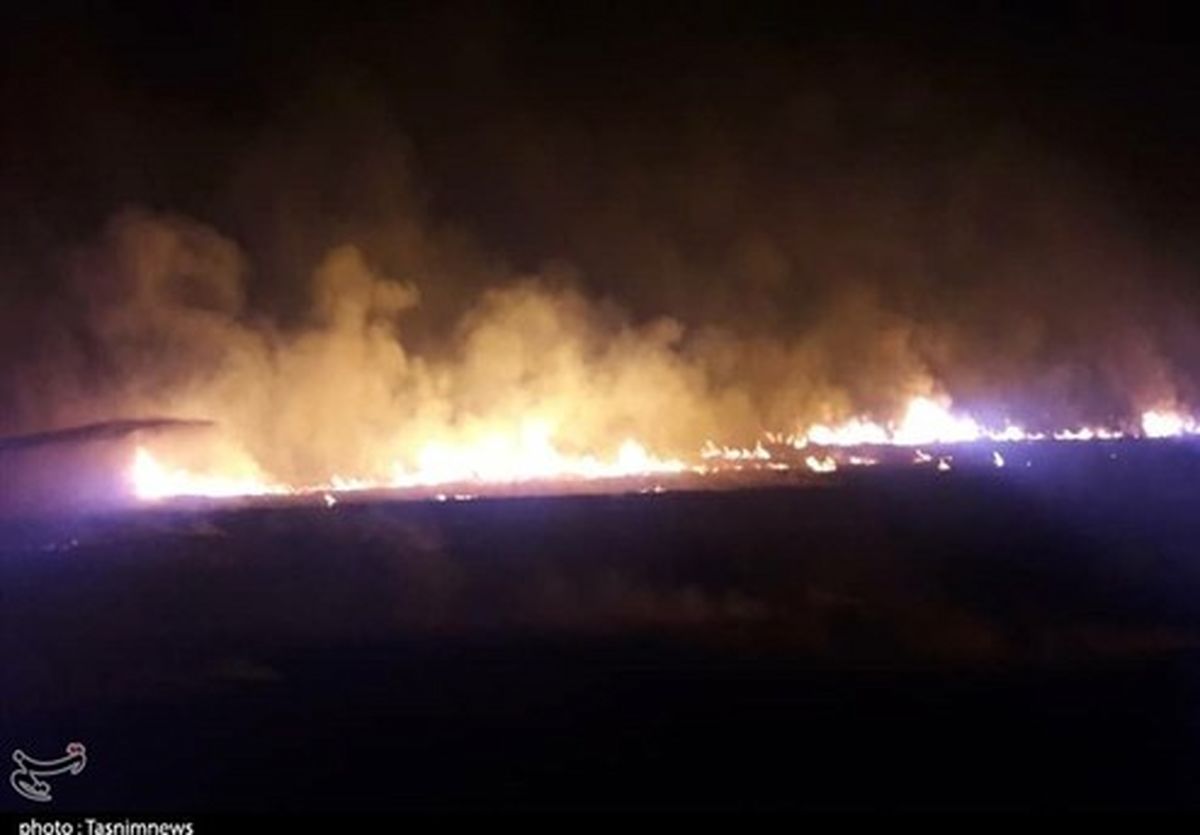 تصاویر: آتش گرفتن پایه‌های برق در حریق مزارع زیدون