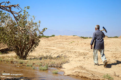 تصاویر: یک روز با پدر و مادر شهید در روستای رکن آباد