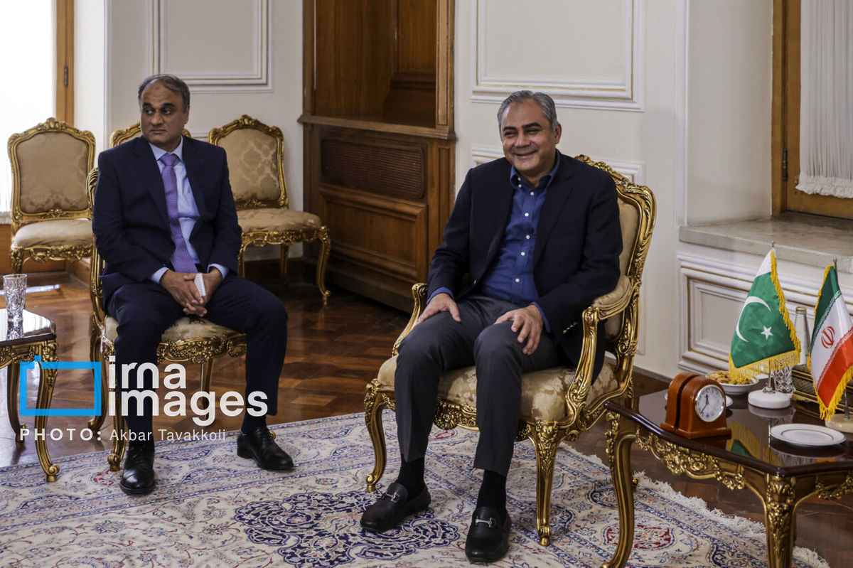 فوری؛ وزیر کشور پاکستان عازم تهران شد