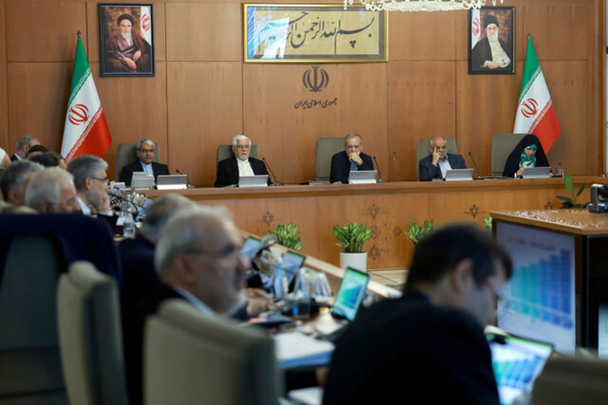 دستور رئیس‌جمهور برای تجهیز سازمان حفاظت محیط زیست به پهپاد 