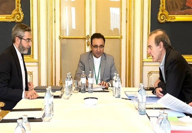 دیدار علی باقری و هماهنگ‌کننده کمیسیون مشترک برجام