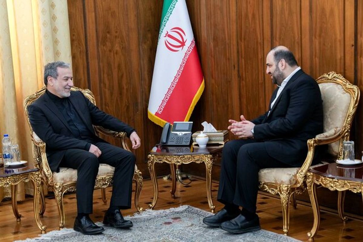 رایزنی سید محسن حکیم با عراقچی