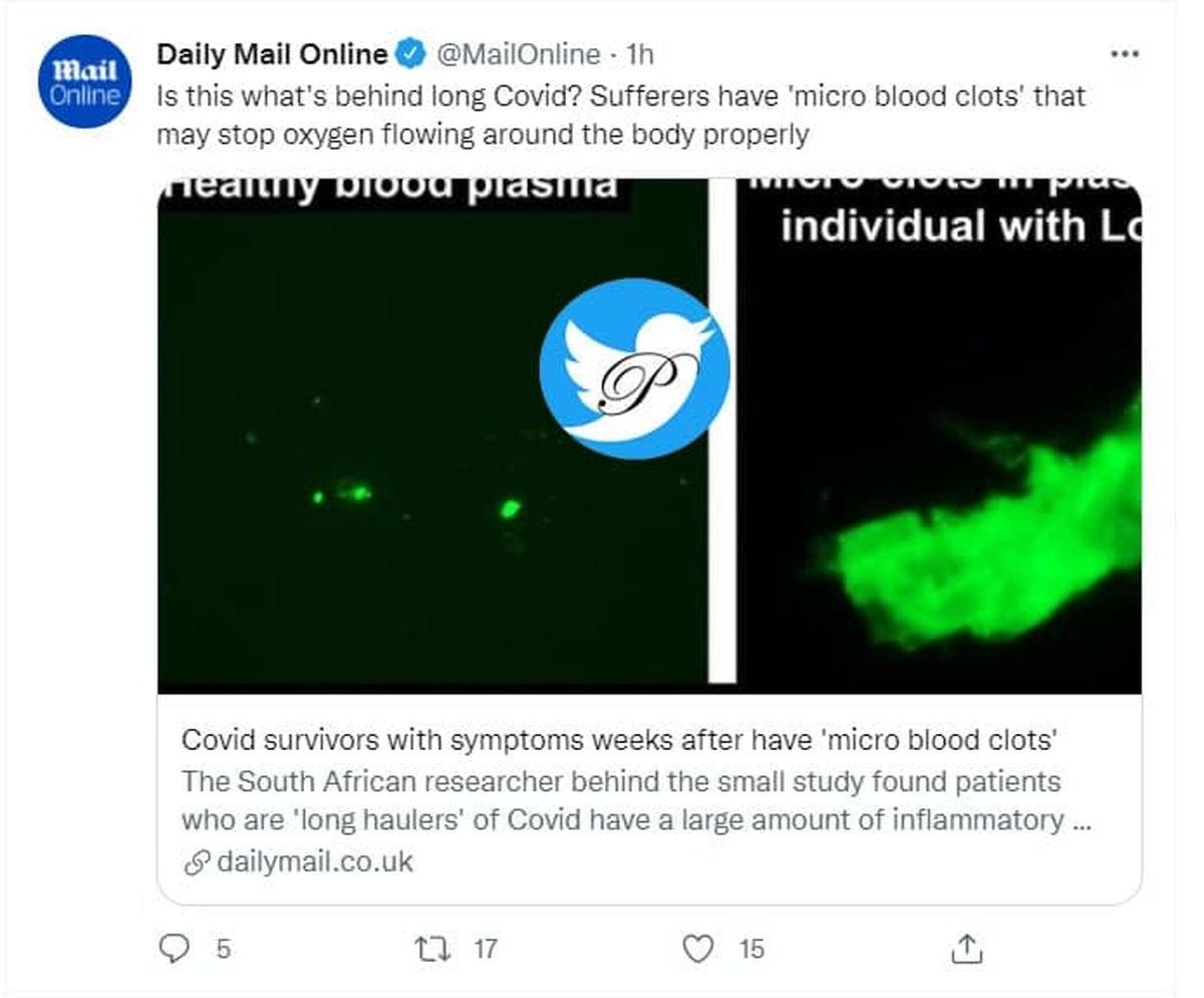 یک کشف جدید درباره کرونا/ علت بروز کووید طولانی فاش شد