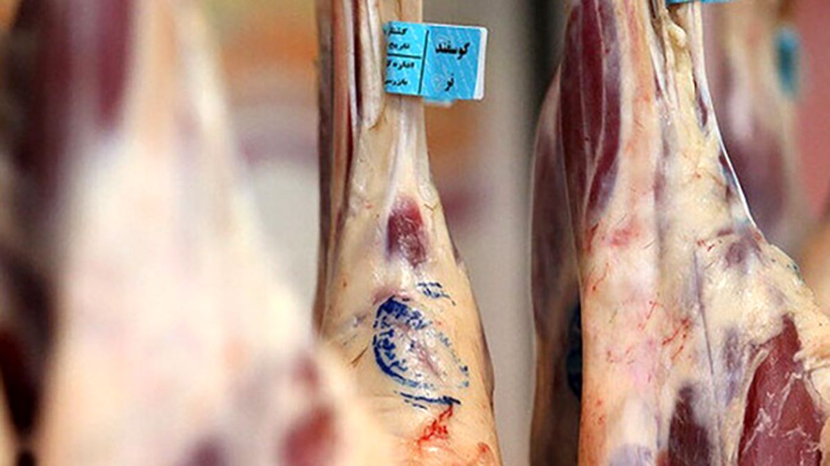 افزایش قیمت گوشت در بازار آزاد | توزیع گوشت یارانه ای یخی در میادین میوه و ترهبار