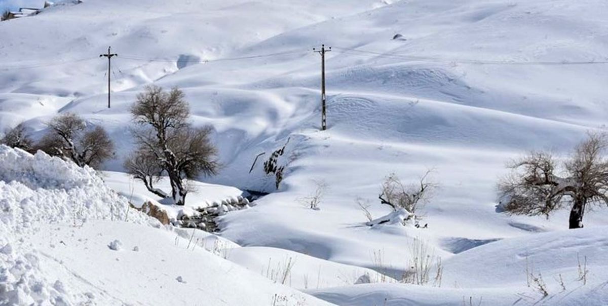 منتظر بارش های رگباری در بهار ۱۴۰۰ تهران باشید +فیلم