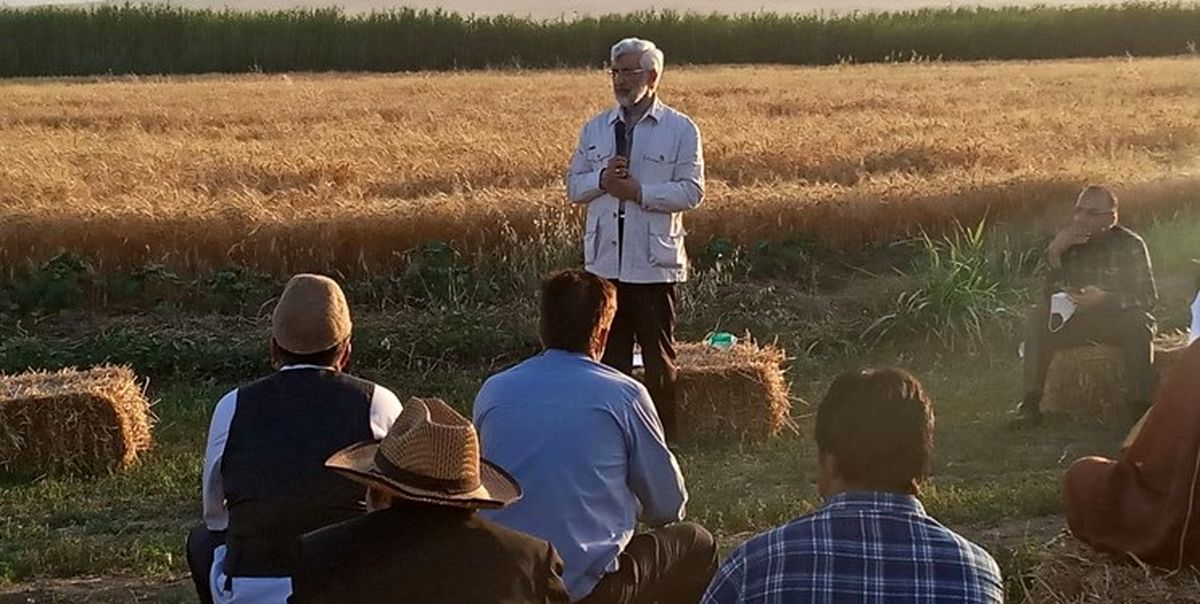 جلیلی: خیال کشاورزان از فروش محصولشان باید راحت باشد